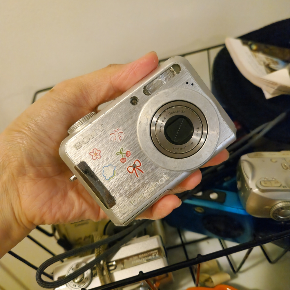Sony Cyber-shot Silver Digital Camera